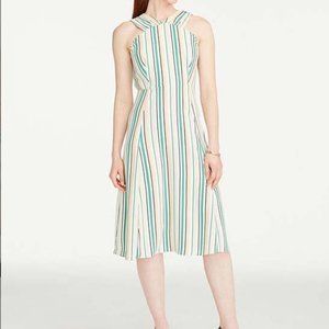 NWT Ann taylor herbal green petite high neck striped dress 2P